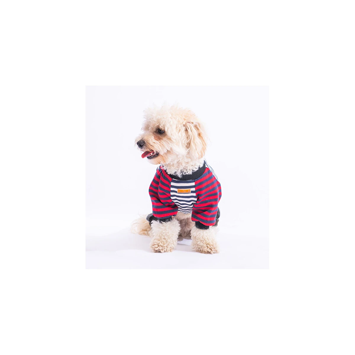 PawStar Navy Blue Foodie-L kıyafet