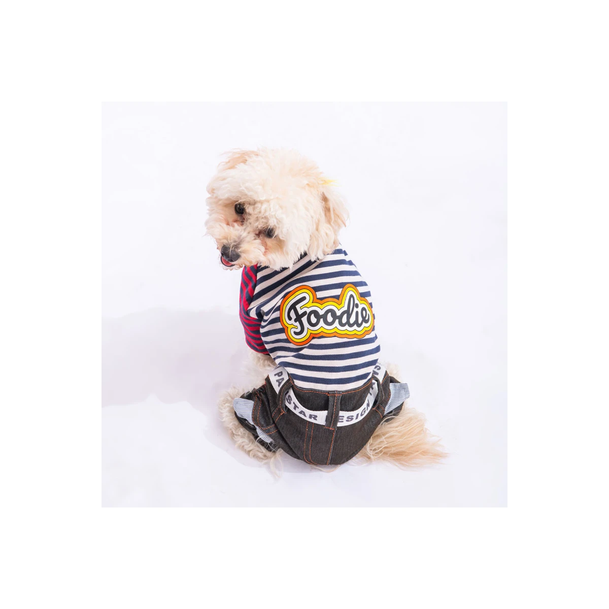 PawStar Navy Blue Foodie-L kıyafet - görsel 2