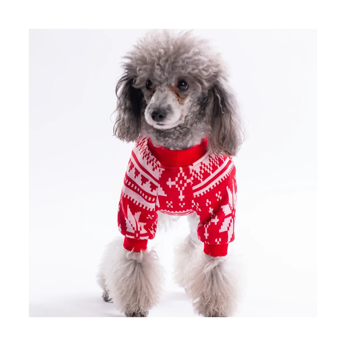 Nordic Winter-Snowflake Sweat - görsel 3