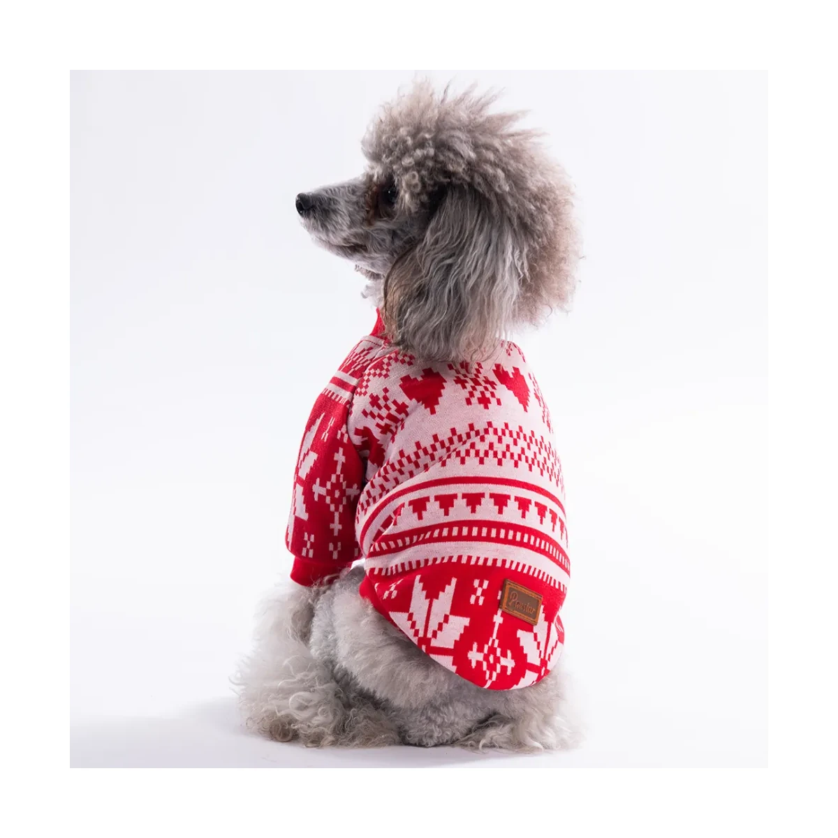 Nordic Winter-Snowflake Sweat - görsel 2