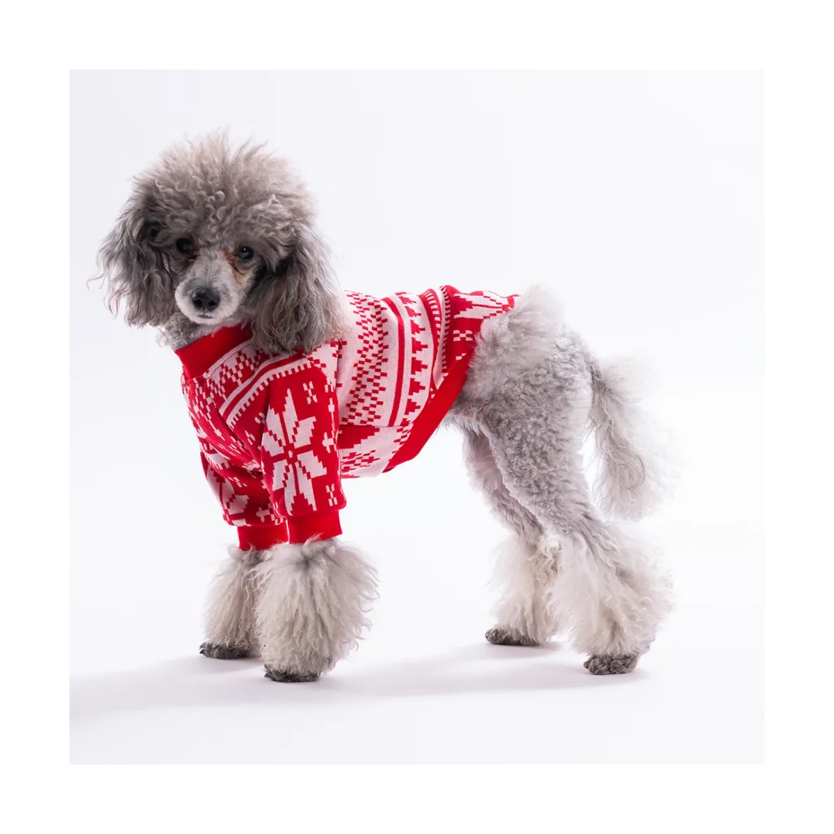 Nordic Winter-Snowflake Sweat
