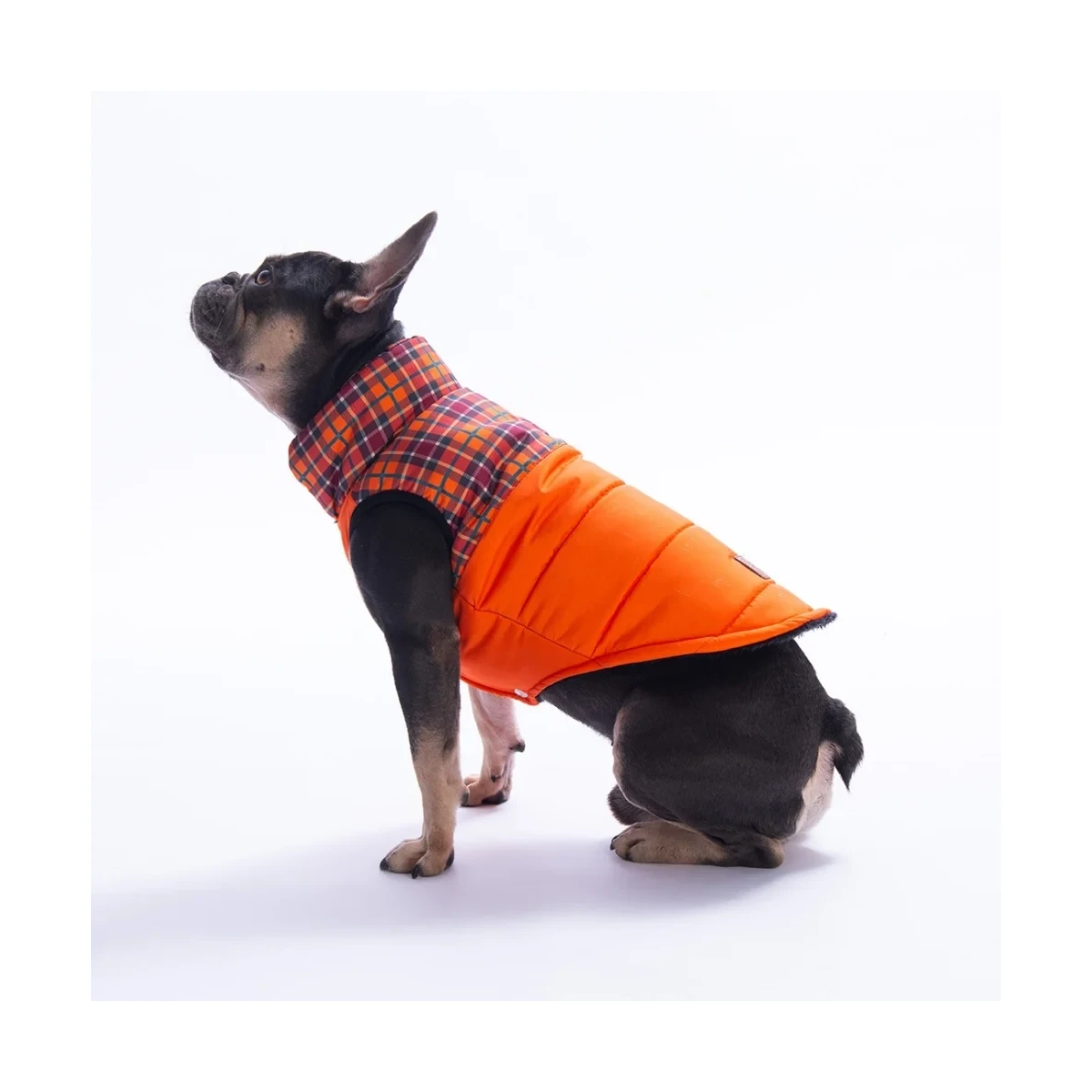 Elgin Paws Yelek - görsel 2