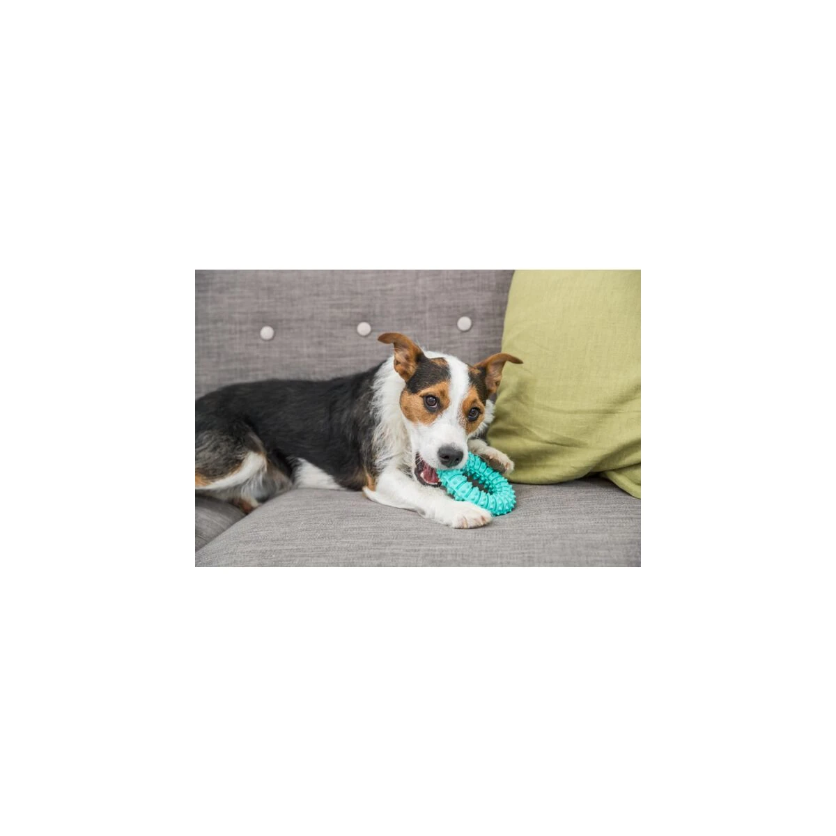 Trixie Köpek Diş Bakım Halkası 12 Cm - görsel 2