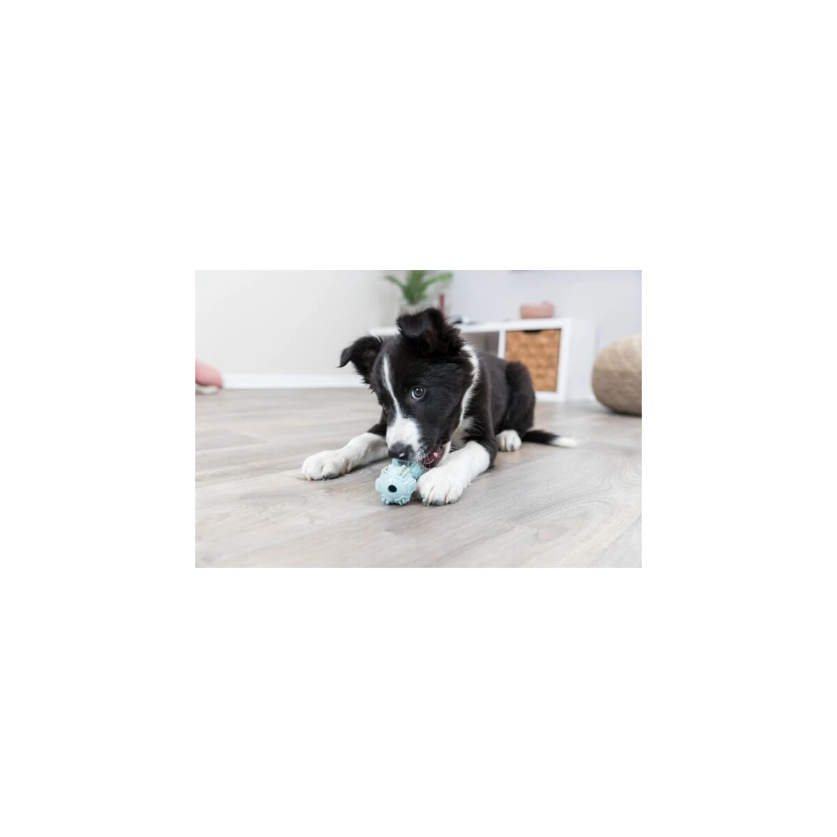 Trixie Köpek Dambıl Diş Bakım Oyuncağı - görsel 6