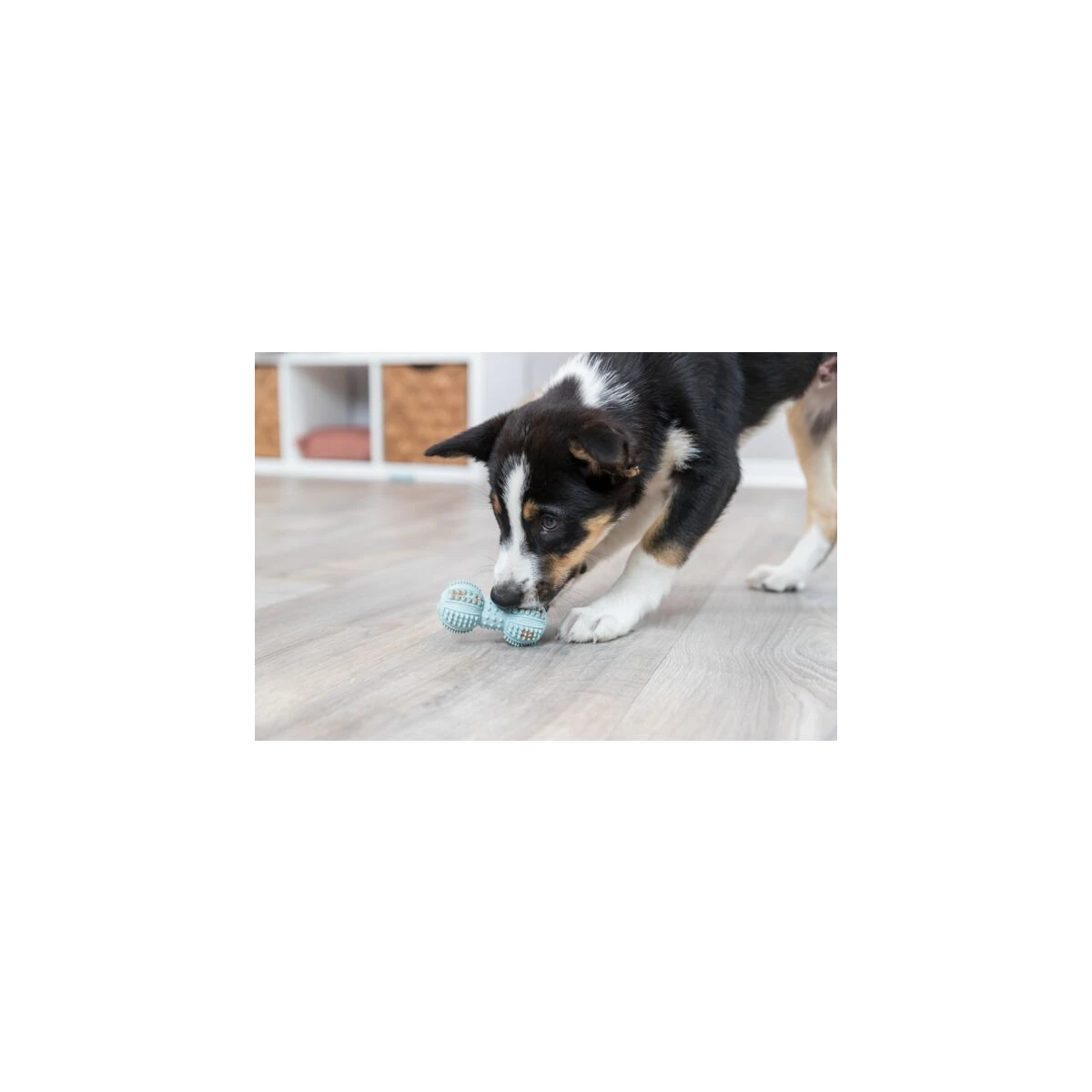 Trixie Köpek Dambıl Diş Bakım Oyuncağı - görsel 7