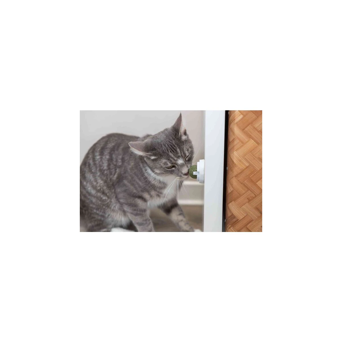 Trixie Kedi Nanesi Top Oyuncak 5 Cm - görsel 4