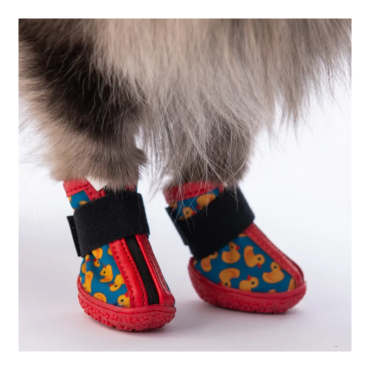 Desenli Köpek Ayakkabısı