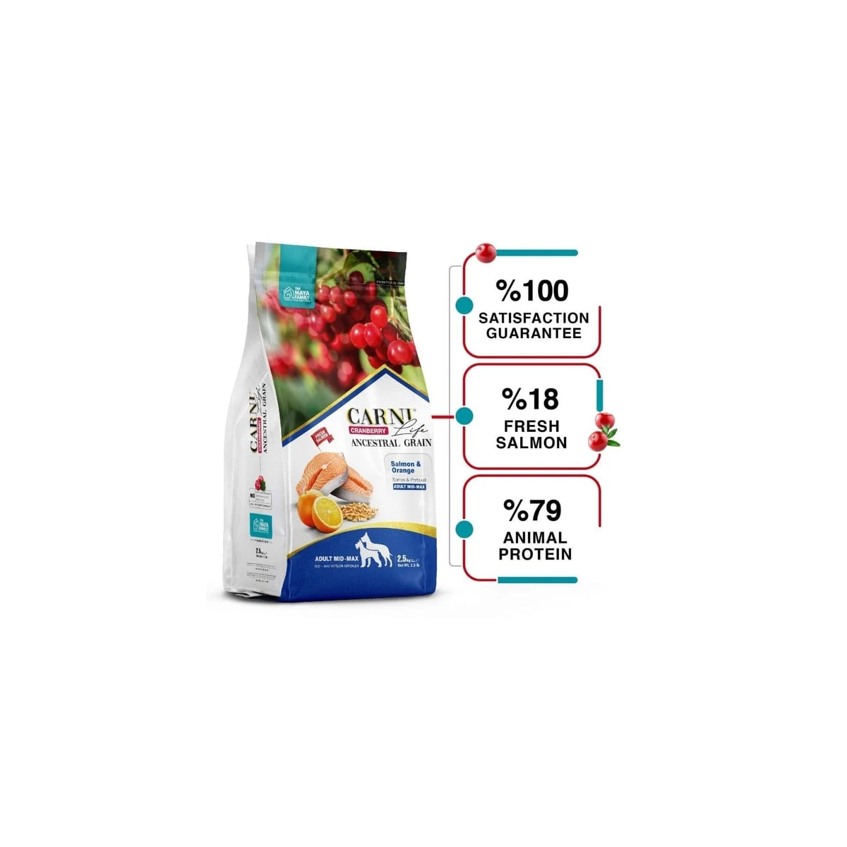 Carni Life Somon ve Portakal Orta ve Büyük Irk Yetişkin Köpek Maması 12 kg