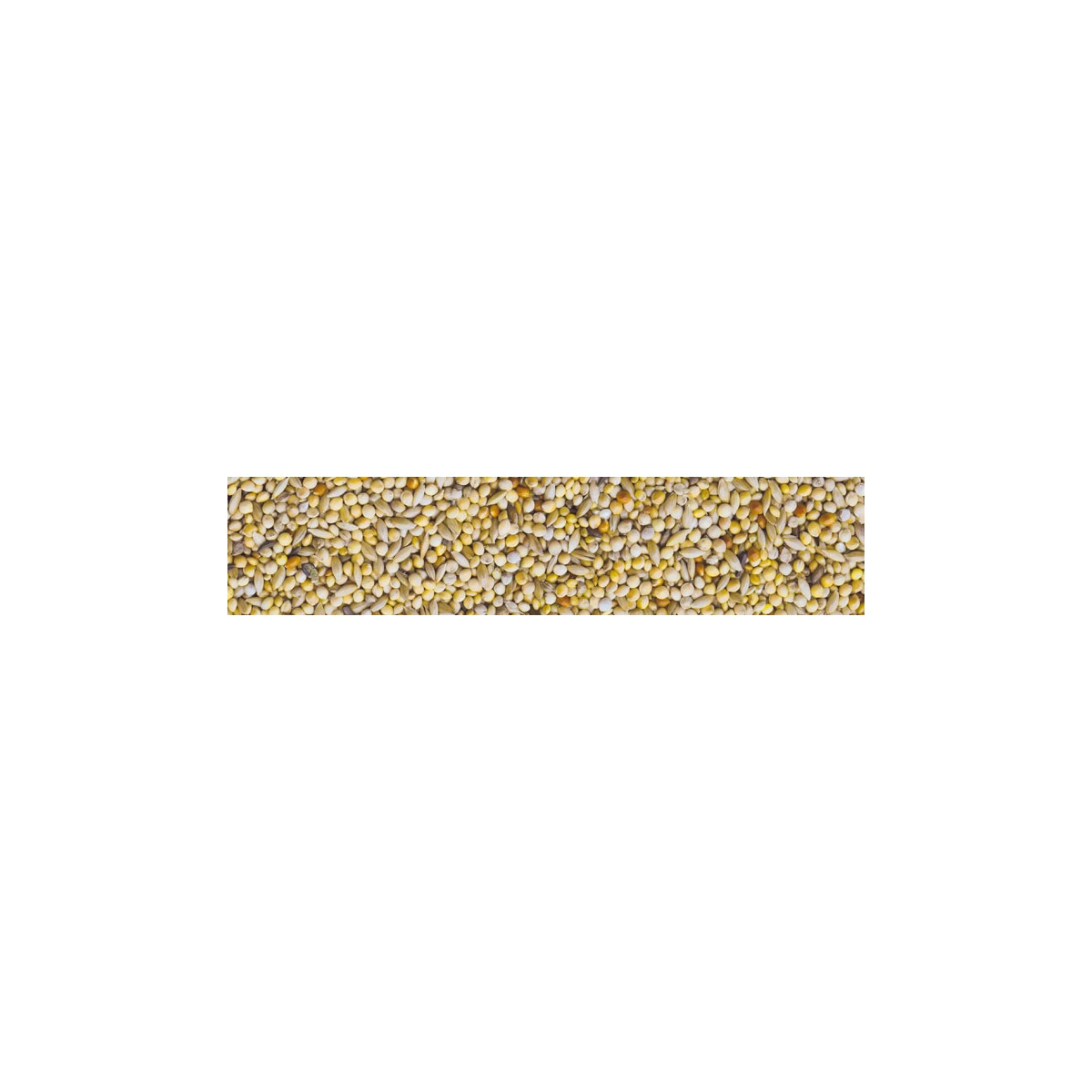 DİAMANTİNE Premium/ Profesyonel Egzotik ve Tropikal Finch İspinoz yemi 20+2kg 22 KG - görsel 4