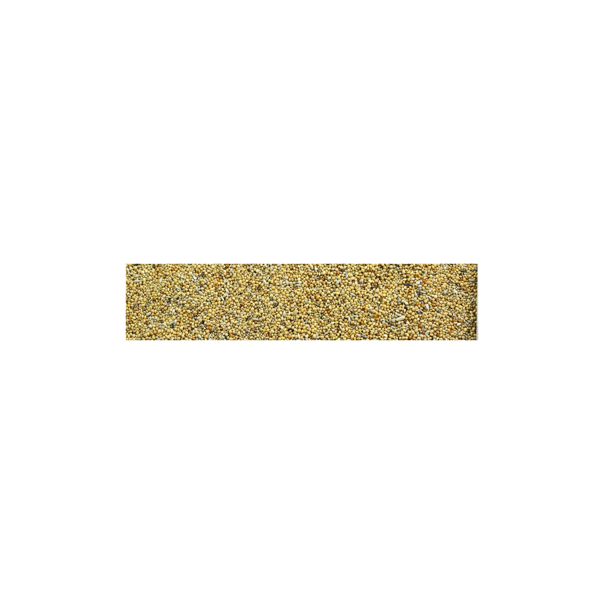 ESOTİCİ Mixture / Egzotik ve Tropikal Finch İspinoz yemi 20+2kg - görsel 2