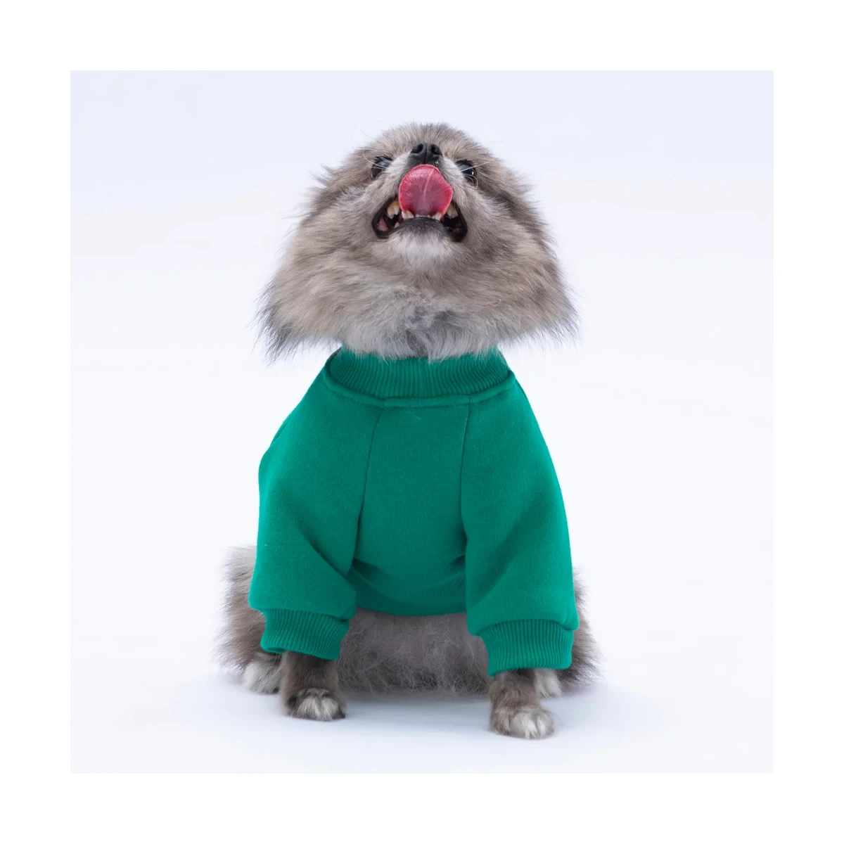 Chongqing Sweat - görsel 2