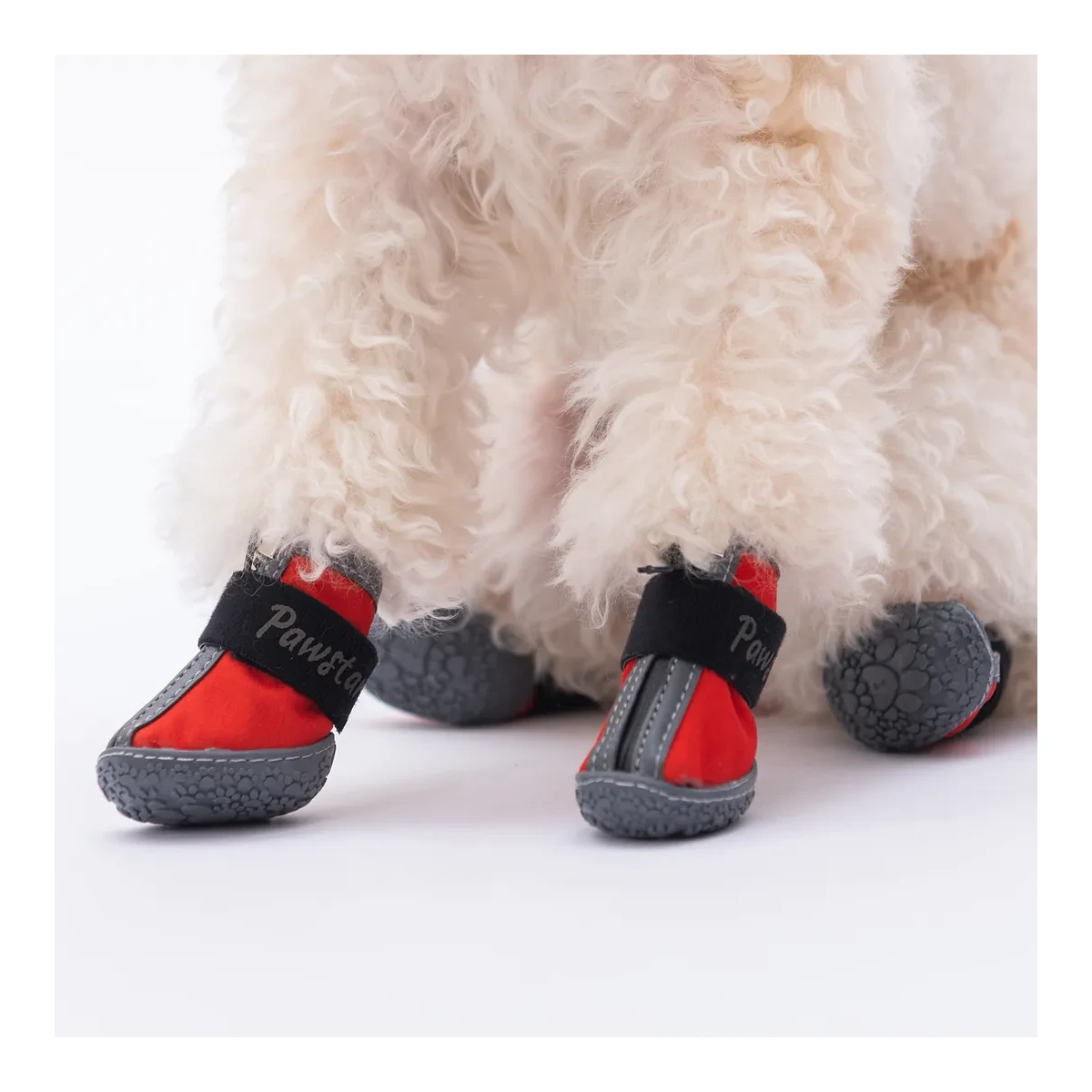 Köpek Ayakkabısı - görsel 2