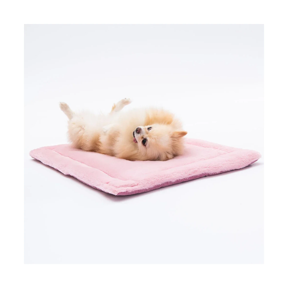 Pet Mat &Battaniye