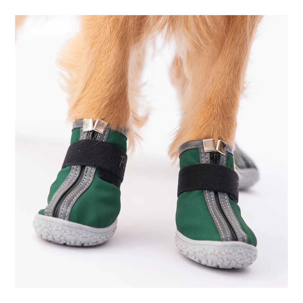 Köpek Ayakkabısı