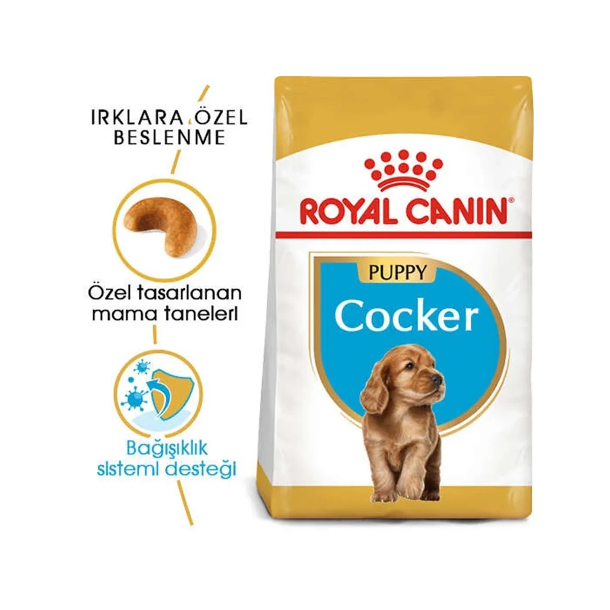 Royal Canin Yavru Cocker Özel Irk Kuru Mama 3 Kg
