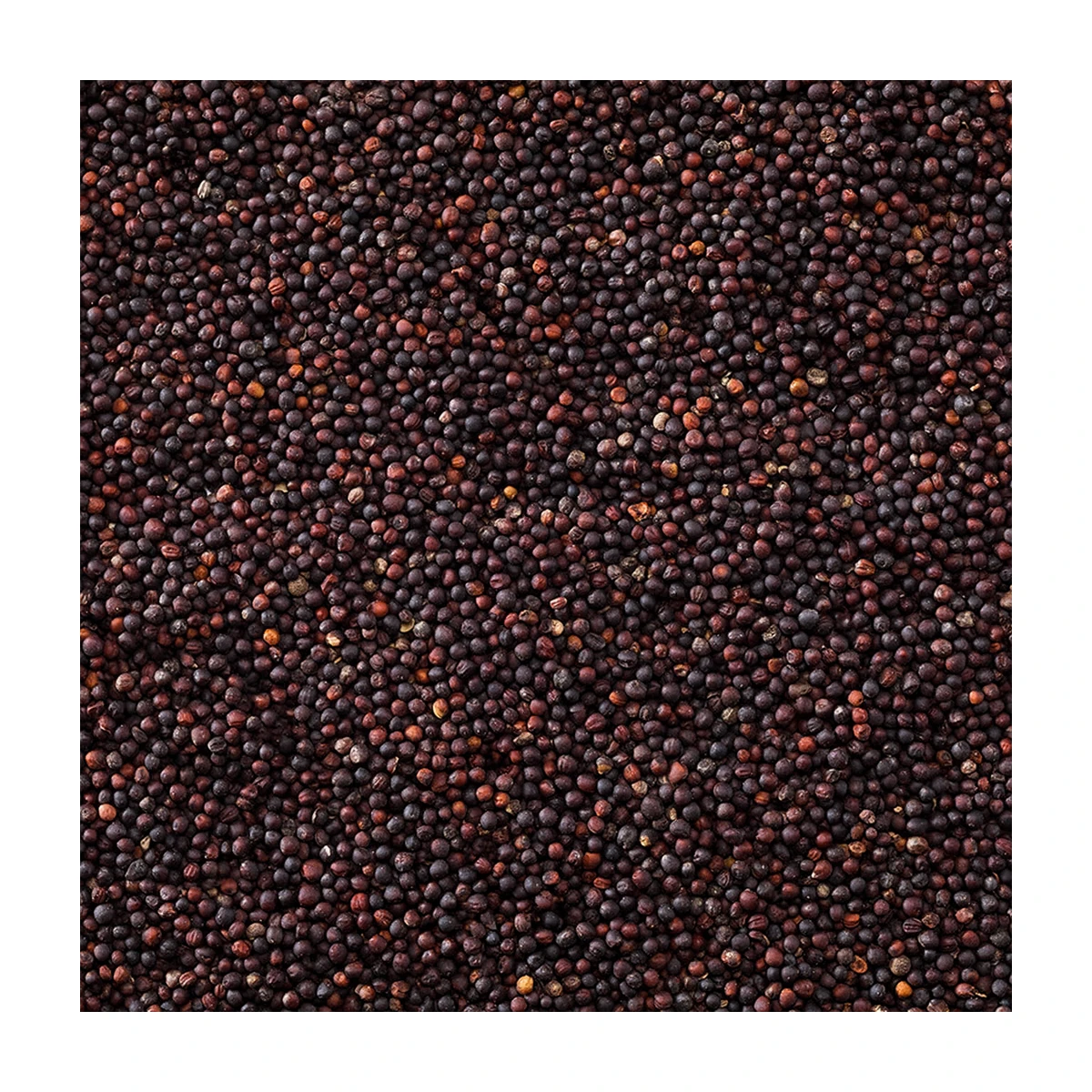 Pulito Rapiska (Kanola) Bölünmüş 5 KG