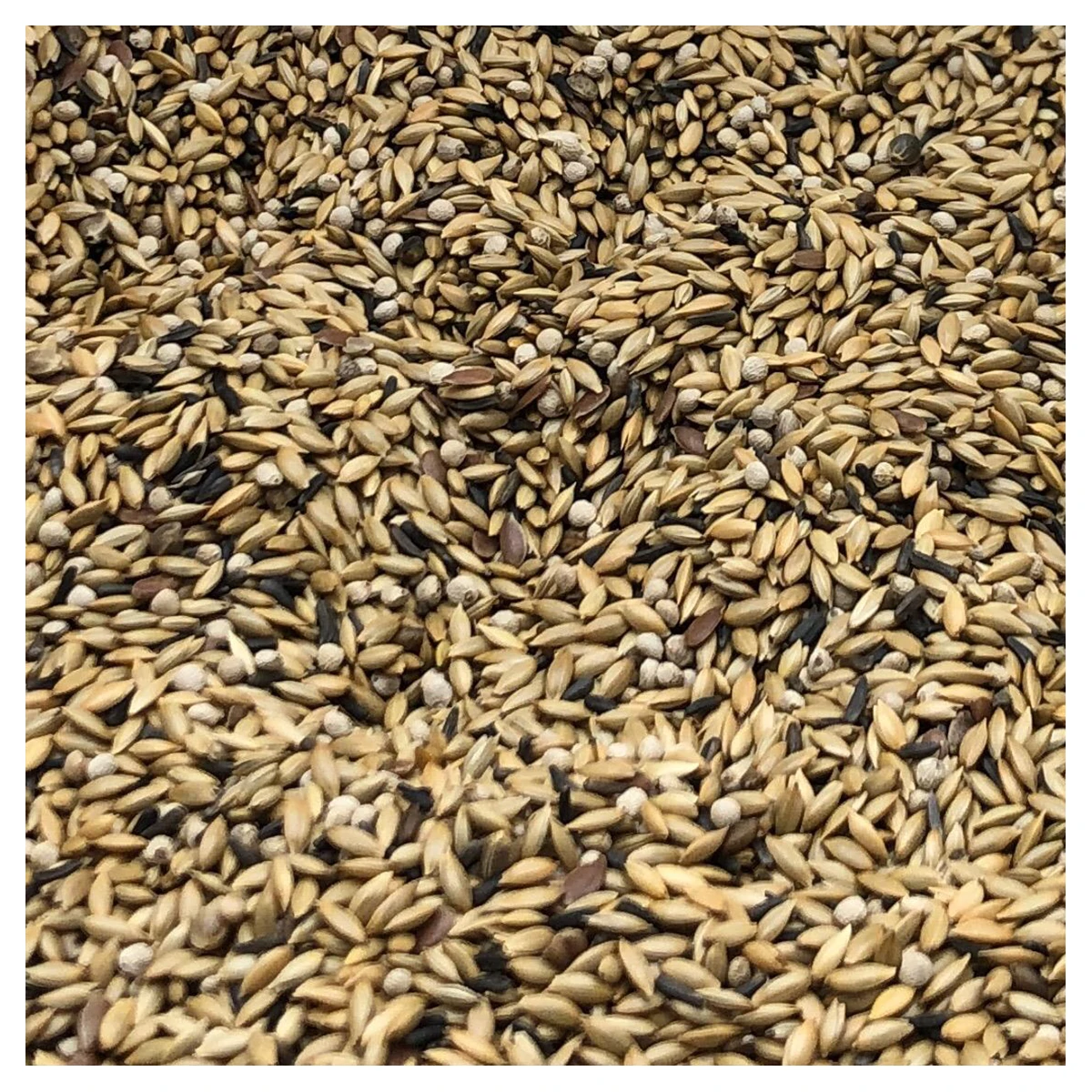Pulito Karışık Şalgamsız Kanarya Yemi Bölünmüş 5 KG