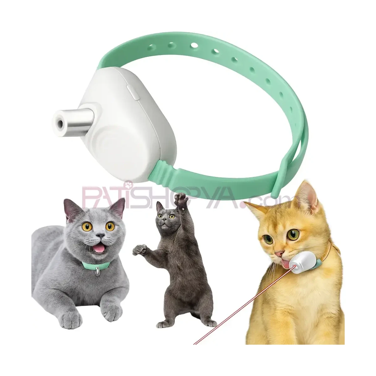 Lazer Kedi Boyunluğu (KUTULU)