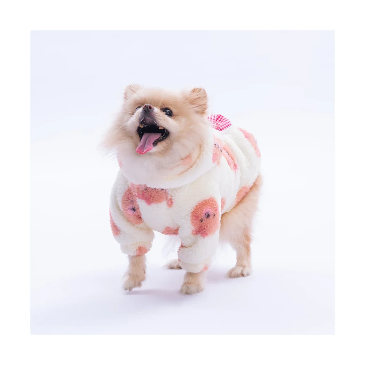 Somon SapporoBear Hoodie