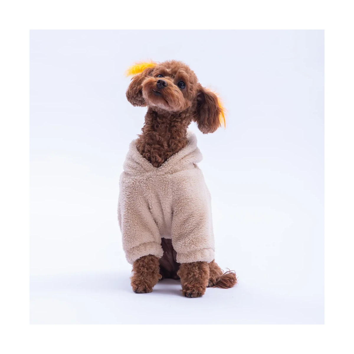 LuccaTeddy Hoodie - görsel 3