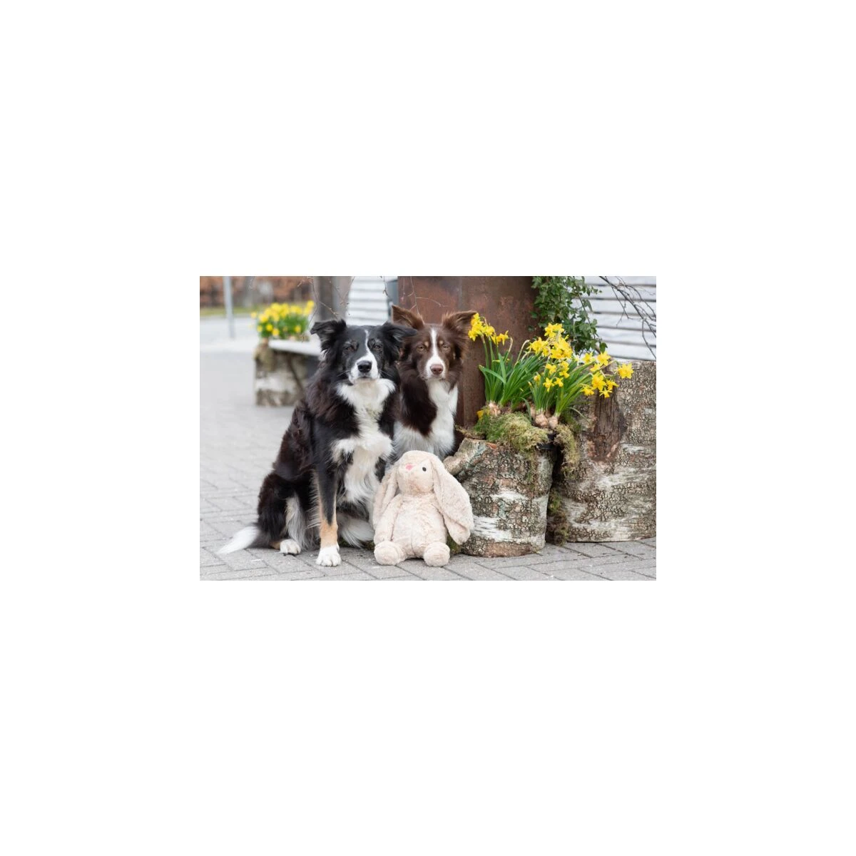 Trixie Köpek Peluş Tavşan Oyuncak 38 Cm - görsel 3