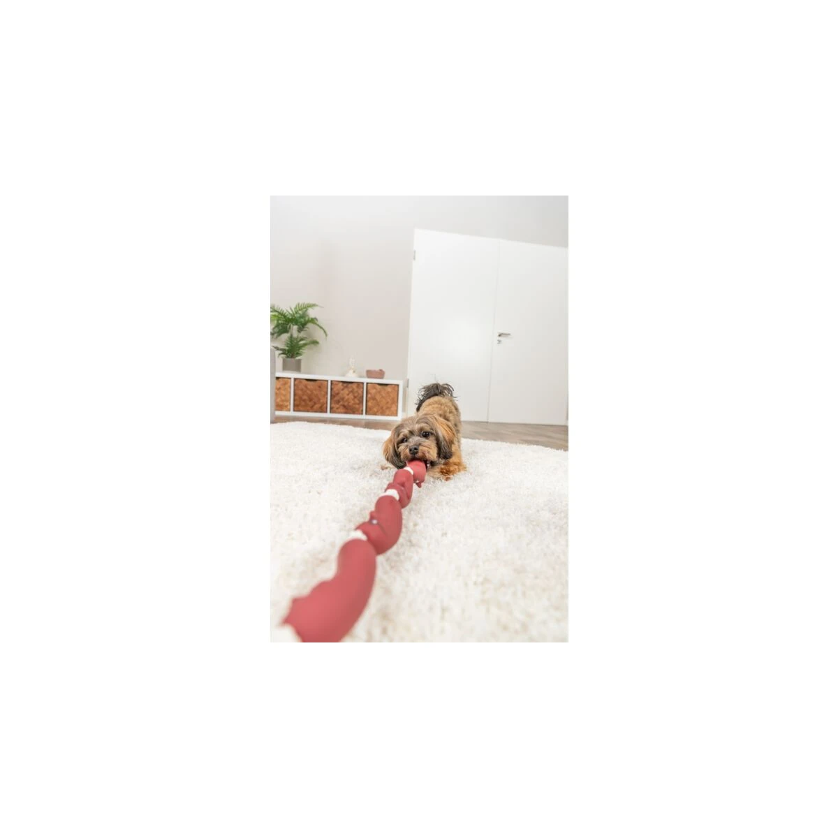 Trixie Köpek Sosis Zinciri Oyuncak 75 Cm - görsel 3