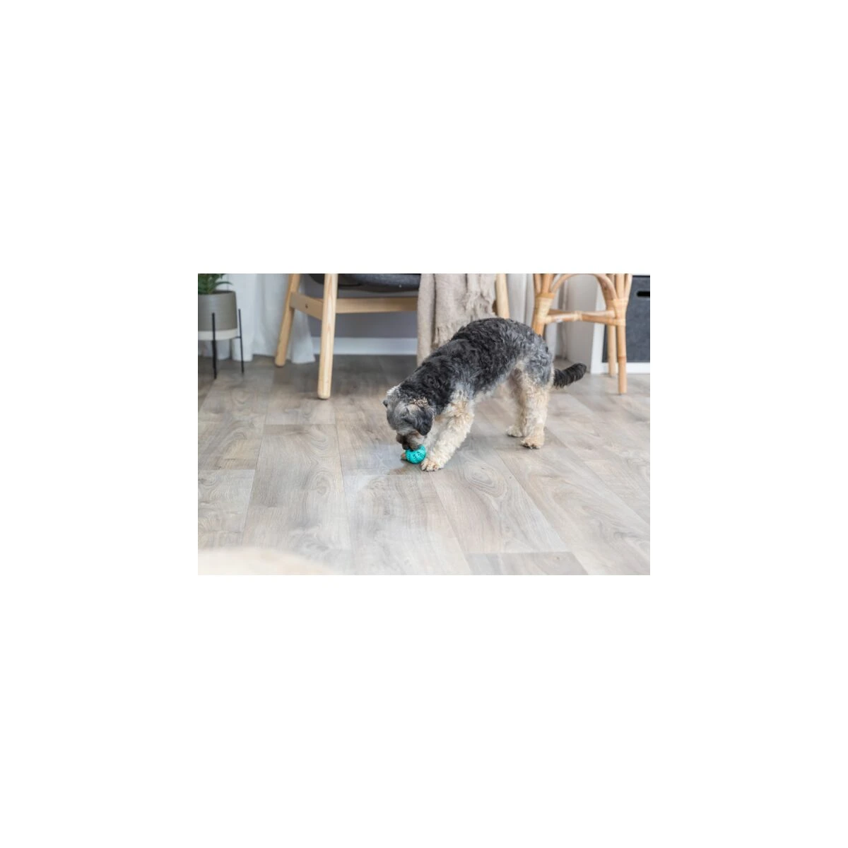 Trixie Köpek Diş Bakım Topu 5 Cm - görsel 2