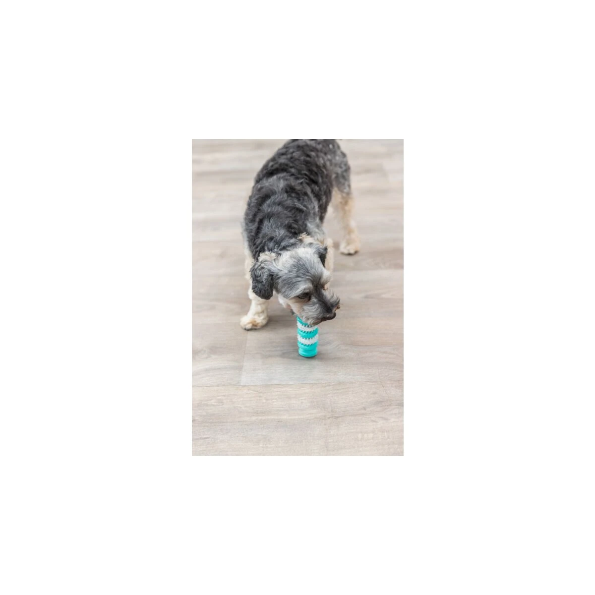 Trixie Köpek Diş Bakım Kemiği 11 Cm - görsel 3