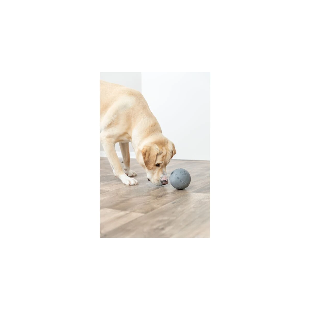 Trixie Köpek Ödüllü Top Oyuncak 11 Cm Pembe - görsel 2