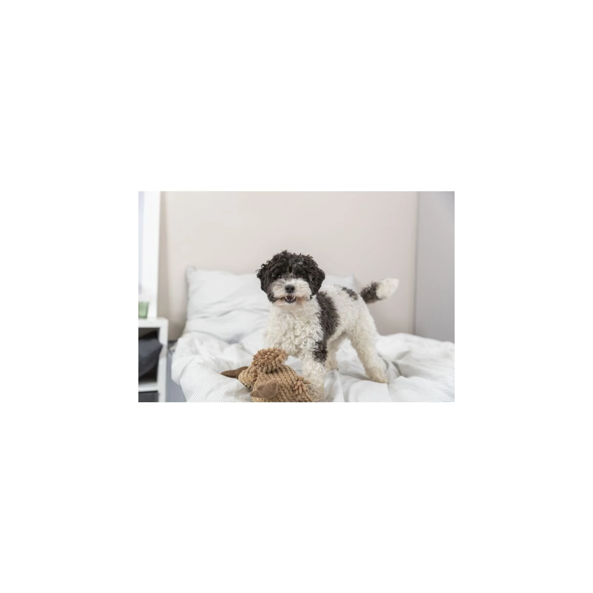 Trixie Köpek Peluş Vulture Gustav Oyuncak 24 Cm - görsel 4