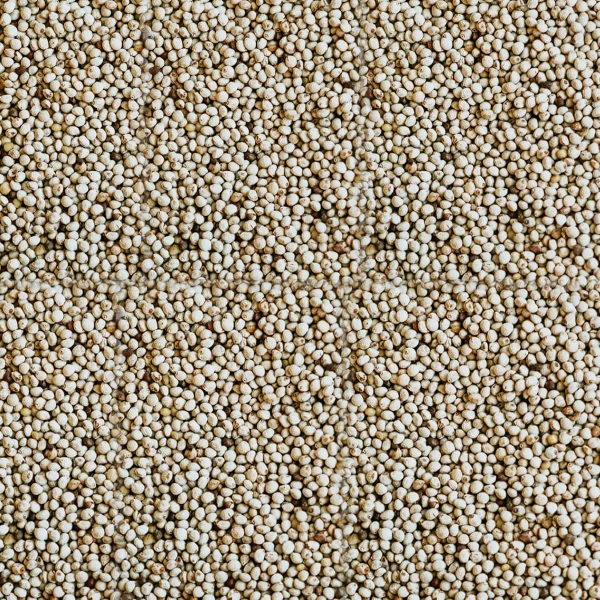 Pulito Perilla Tohumu Bölünmüş 5 KG